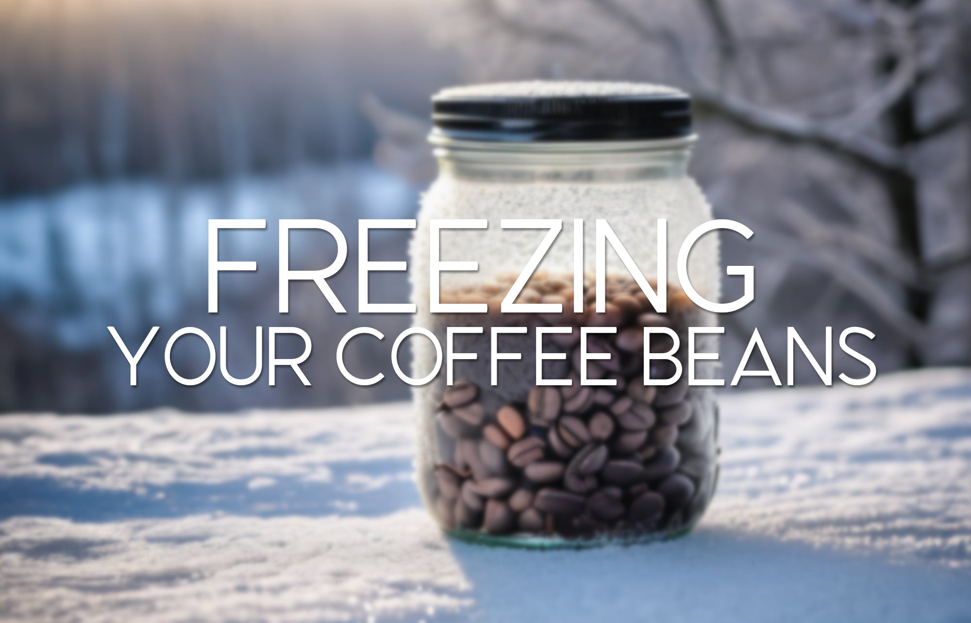 Preserving Perfection The Ultimate Guide to Freezing Your Coffee Bean Central Coast Coffee