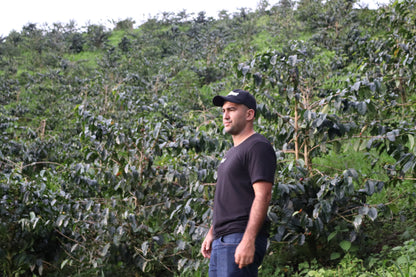 Colombia | Jardines Del Encanto | Felipe Arcila | Red Geisha Natural EF2 | Signature Series