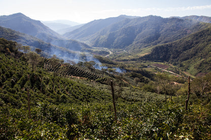 Bolivia | El Fuerte | Java Coco Natural