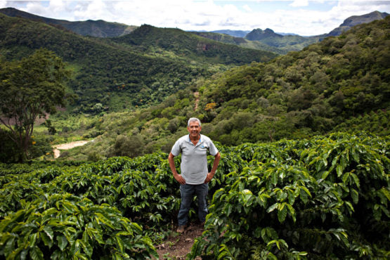 Bolivia | El Fuerte | Java Coco Natural