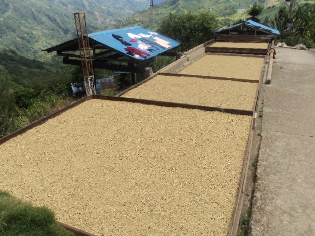 Pic_20Coffee_20Farms.jpg